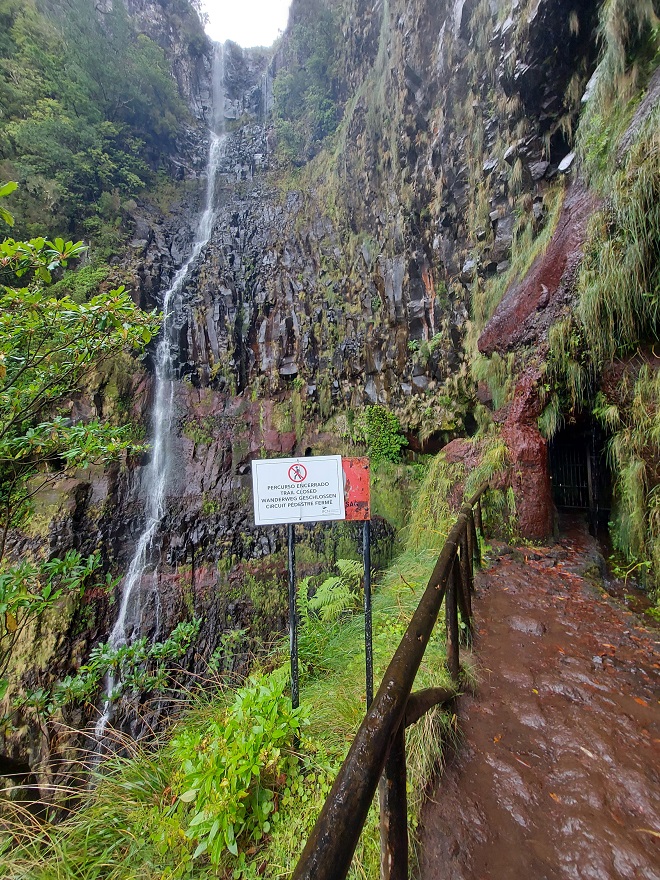 Madeira - Risco - 2022